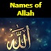 banners